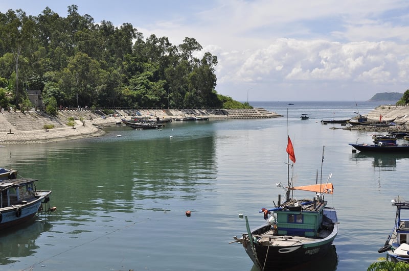 Avoiding Disruptions